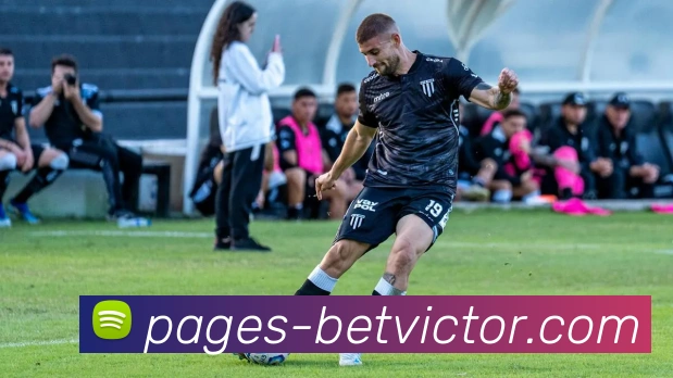 伟德官网平台生态图