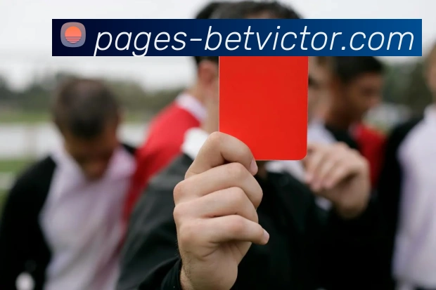 伟德官网APP 封面图